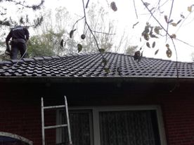 Dachreinigung
